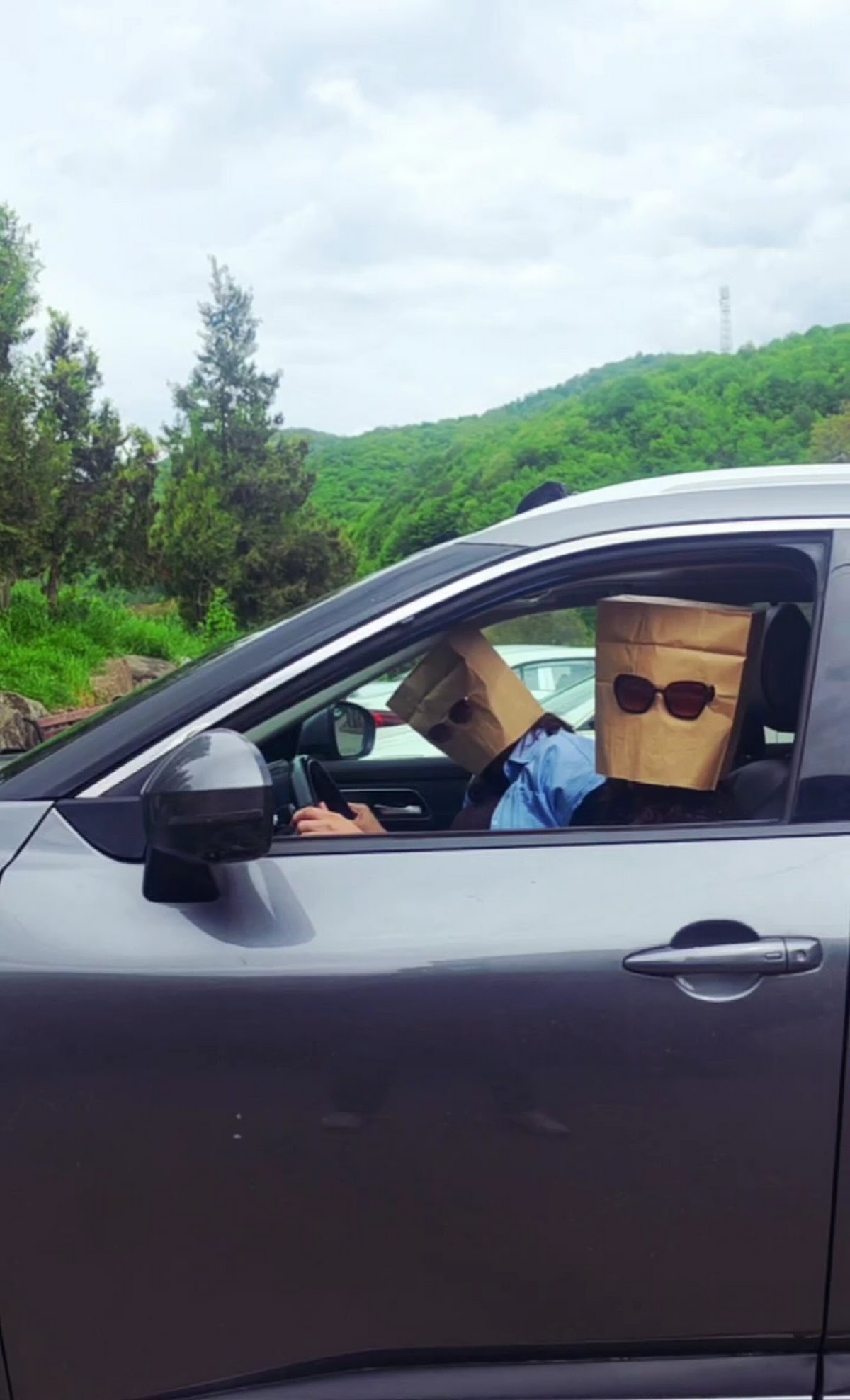 Car rented by Алена Краморева