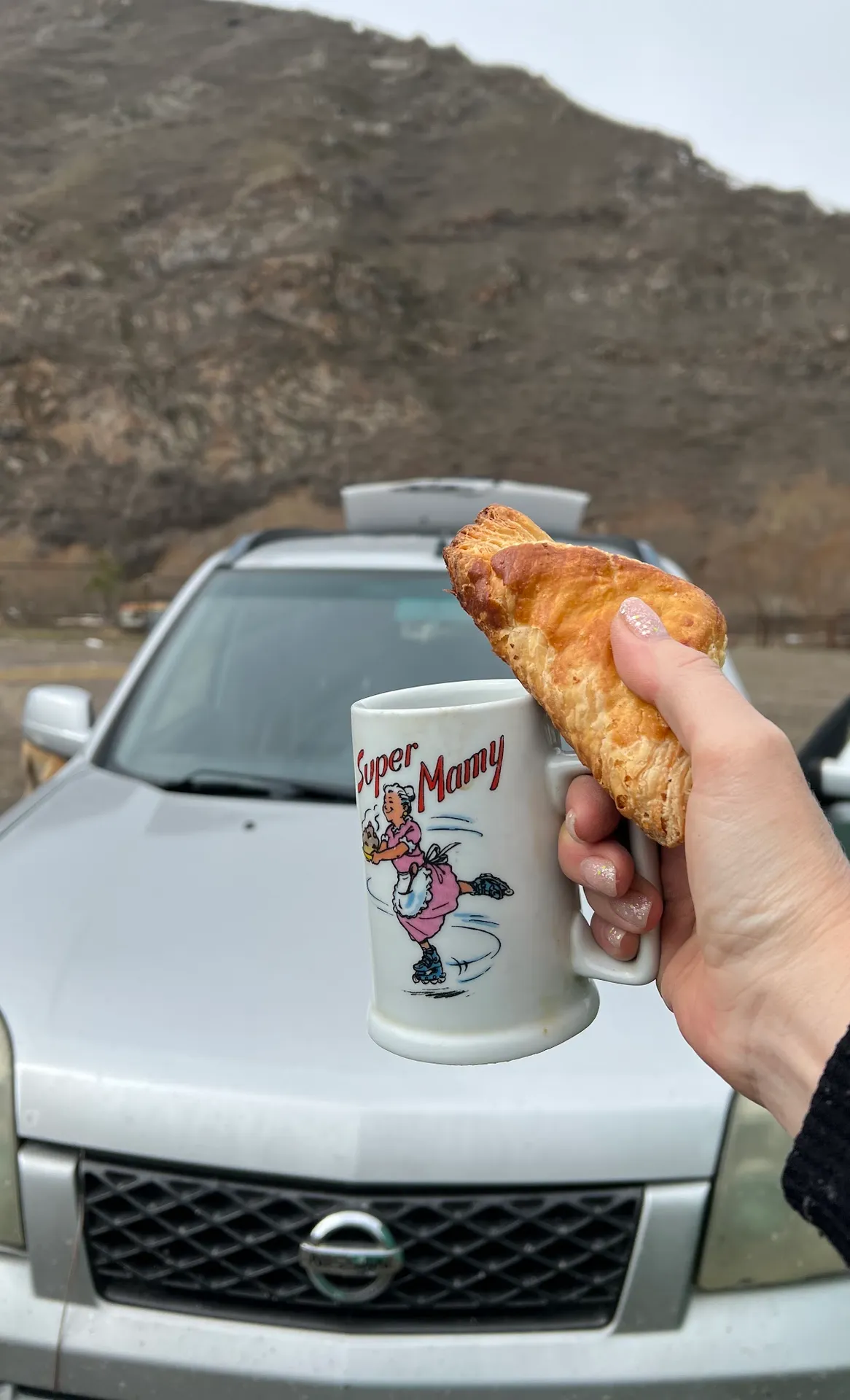 Car rented by Луїза Зудіна