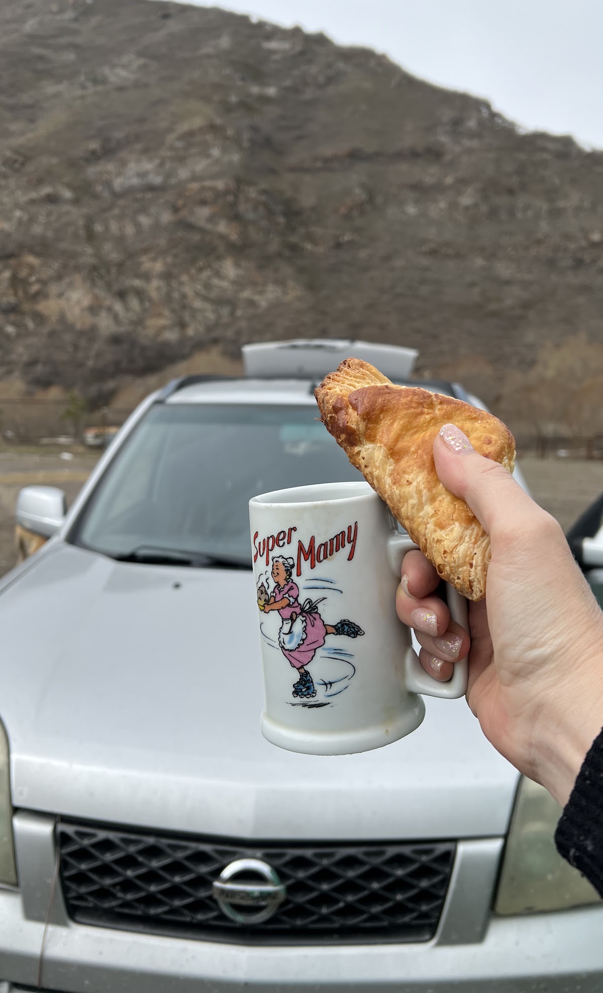 Car rented by Луїза Зудіна